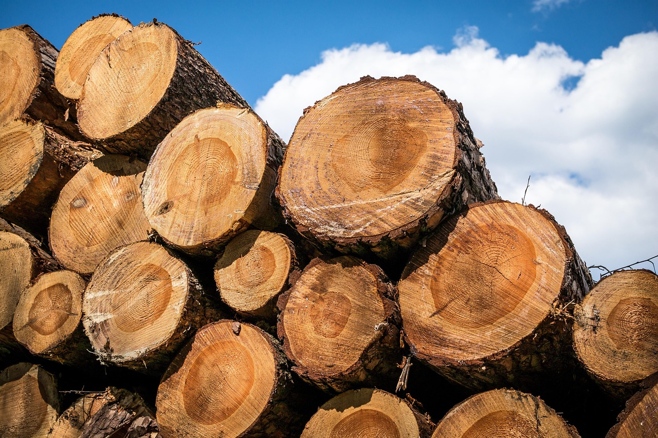 Safety First: Treated Poles Prevent Failures