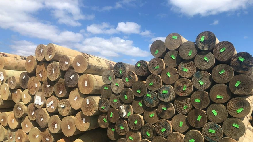 Technical requirements for African utilities and treatment plants to ensure wooden poles last 35 year.