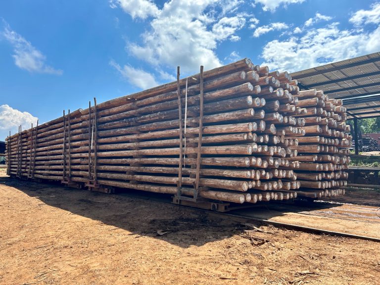 SAUPA-certified sustainable eucalyptus utility poles supporting electricity, communications, and agriculture infrastructure in Africa