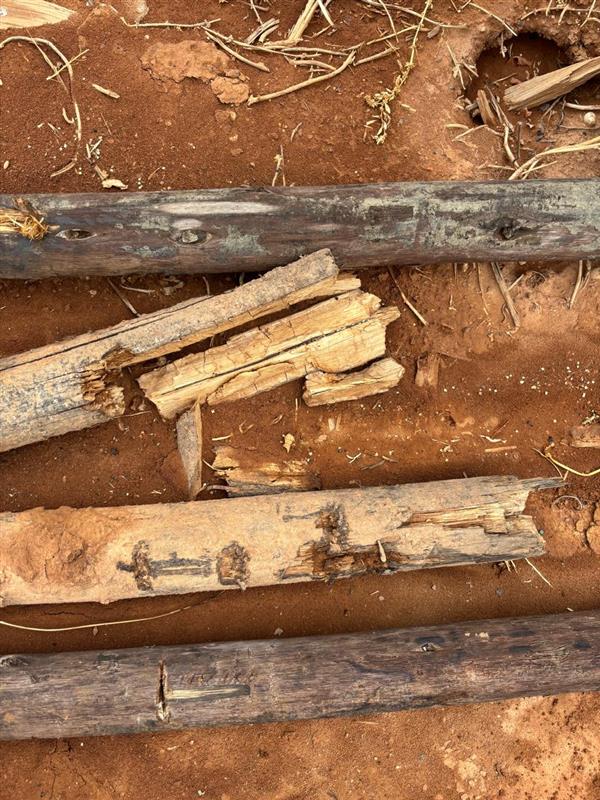 Why Vineyard Poles Are Failing in the Western Cape: 2025 Insights Every Farmer Should Know